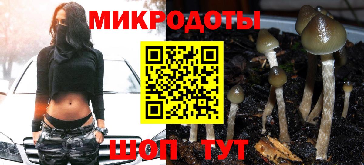 продажа наркотиков  Вход с VPN  Губкинский  Галлюциногенные грибы прущие грибы 