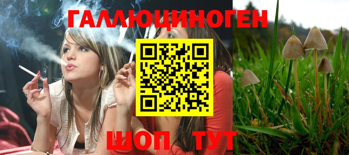Галлюциногенные грибы мухоморы Губкинский